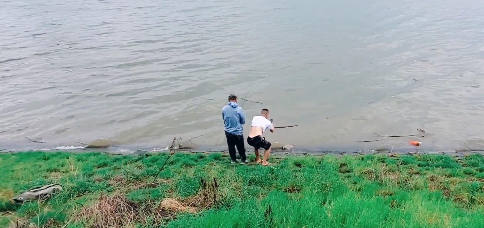 运势 湘江“老鳖”浮头换气，瞬间被岸边男子甲鱼枪打中，路人想500买