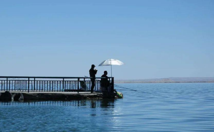 |“钓鱼不打窝，钓到也不多”，如何判断窝子进鱼？——盛世三渔