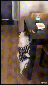 时尚炫点 假如你有一个复活的名额，你会选择让谁回来呢！