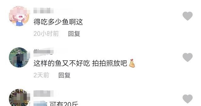老虎|重庆钓鱼人钓起“水老虎”扛着走,网友:我能绕县城走一天