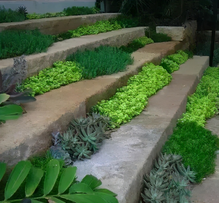 创造力景观花园设计|打造庭院空间层次感的元素——台阶的秘密,这些你知道吗