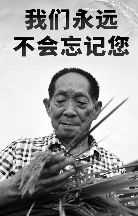 袁隆平|百位明星发文悼念袁隆平，为何只有他们六人被骂？