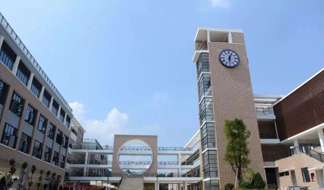销售额|颜宁弟子、助理教授，放弃MIT推荐信，也跑去深圳当高中老师了？