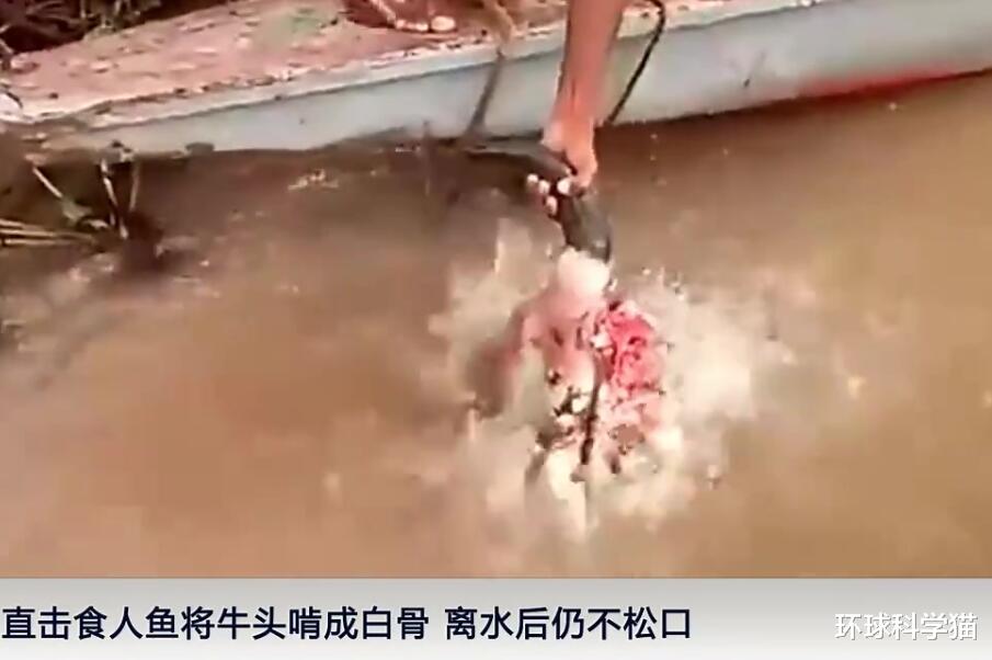 太空 地球有哪些禁区，亚马逊雨林被称为人类禁区，为什么不敢去？