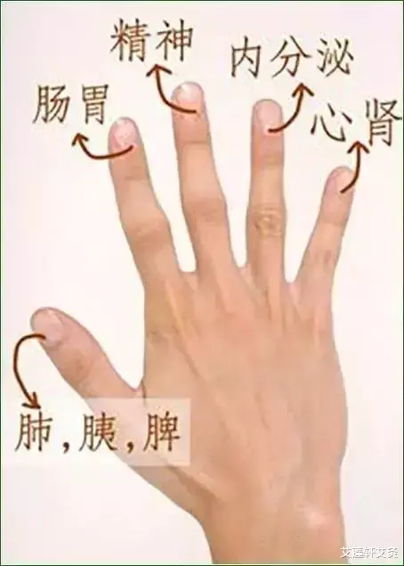 心脏病|五指通全身，秘密都在这（值得收藏）！！