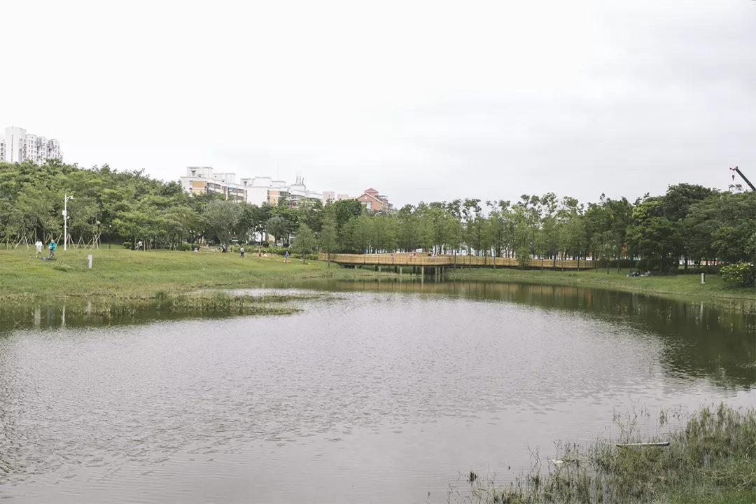 暗访莲花山相亲角,年薪30万只能算起步?