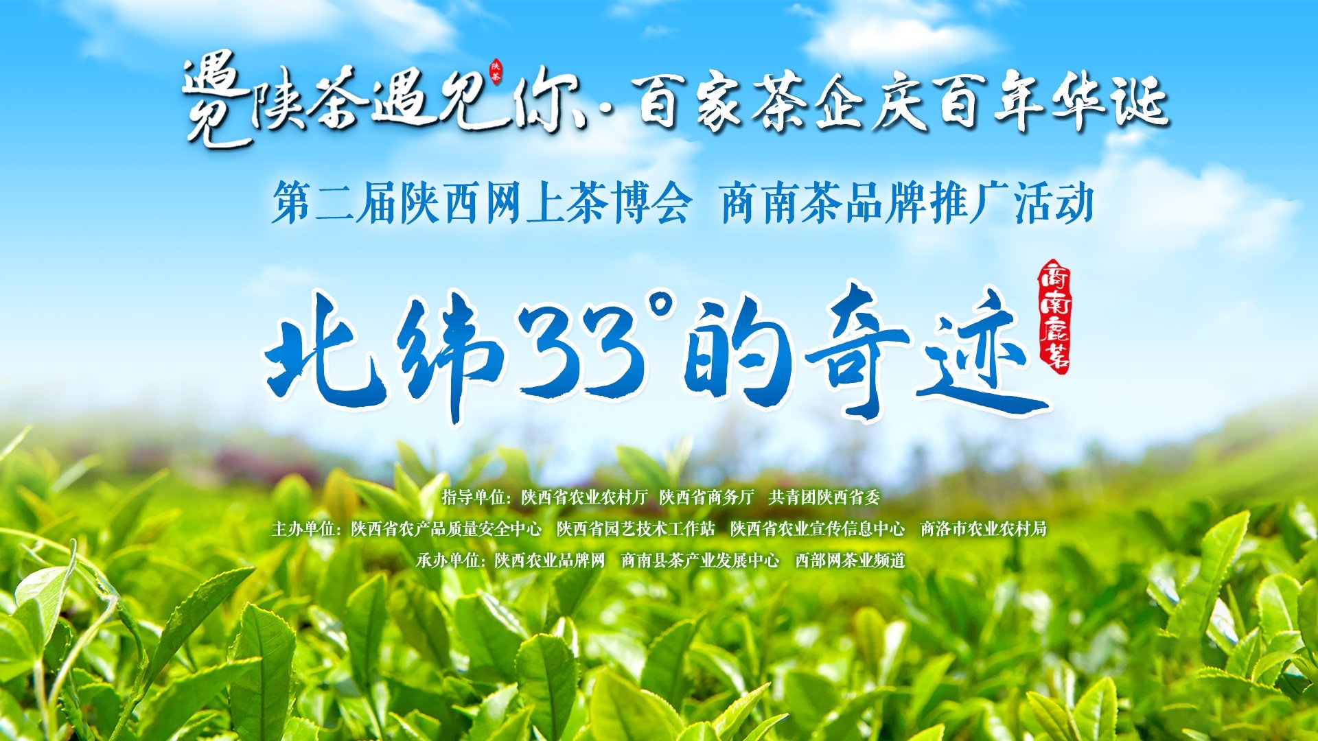 陕西微资讯 陕西商南：三代茶人接力提品质、树品牌、拓市场创出北纬33°奇迹