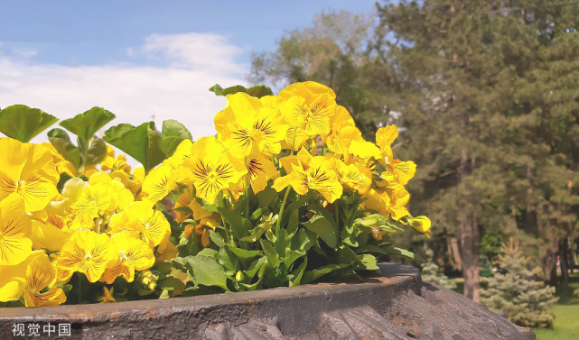 运动|少生病，健康生活的四大法宝