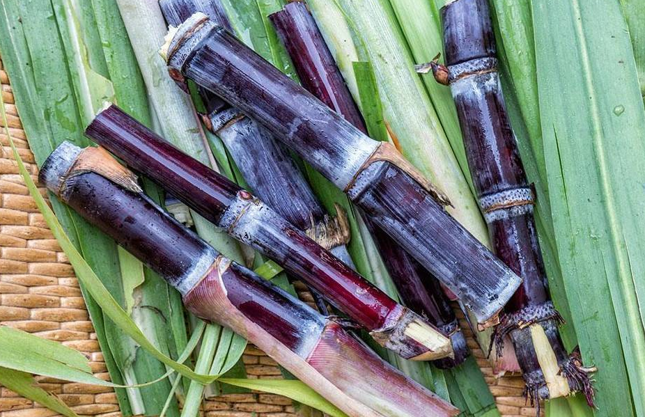 水果|4种水果被誉为“烂胃王”，医生直言：不少人傻傻当成宝，难怪会胃癌