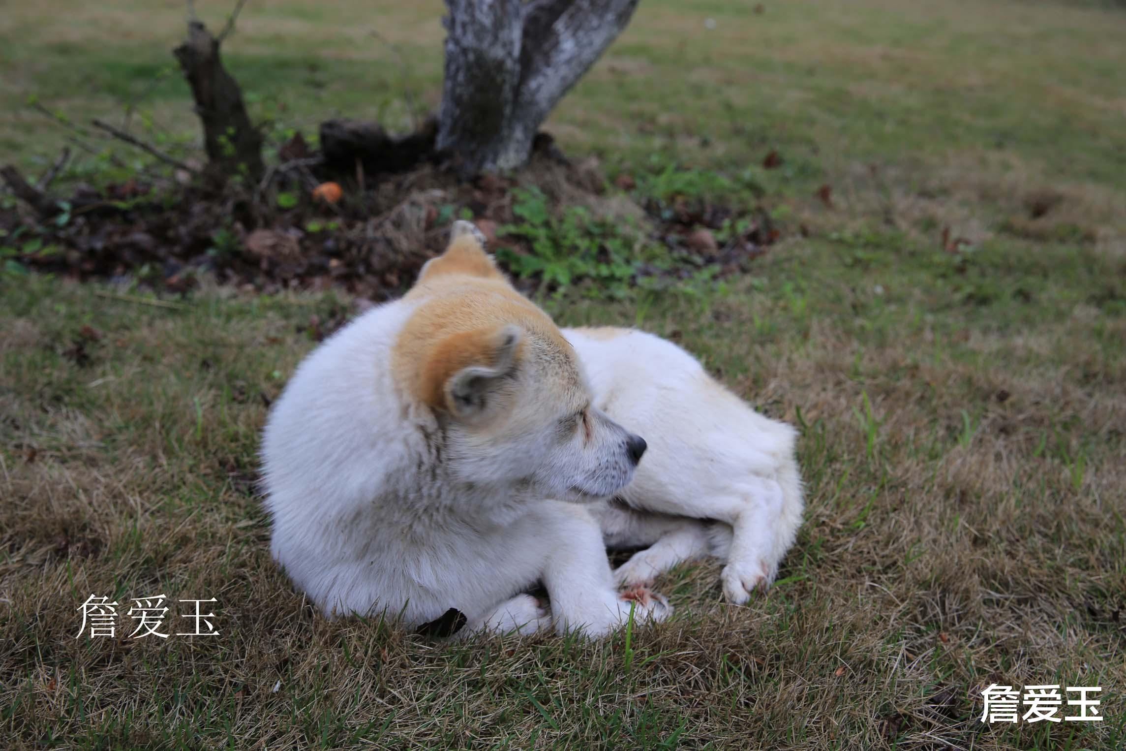 导游 上饶广丰云心谷之旅，遇上不说话的\导游\，但游客感动