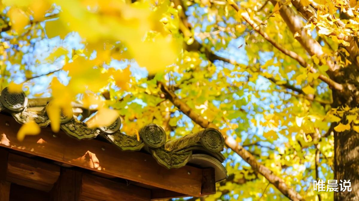 |与人相处，你不得不懂的三个道理