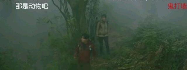 姜保宁|不是全智贤和朱智勋，《智异山》会输惨，第9集几乎没有内容