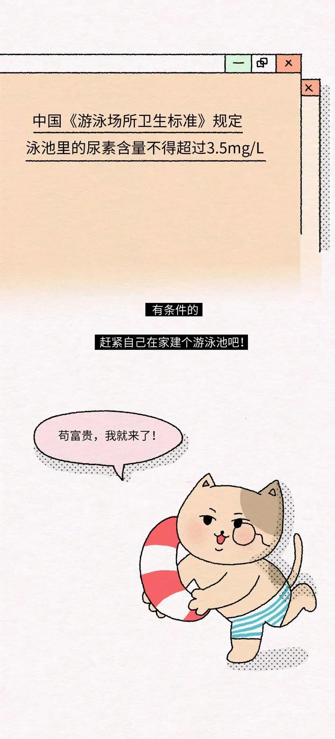 漫画|为啥不能在泳池里“撒尿”?一组漫画告知「真相」,总算有答案了