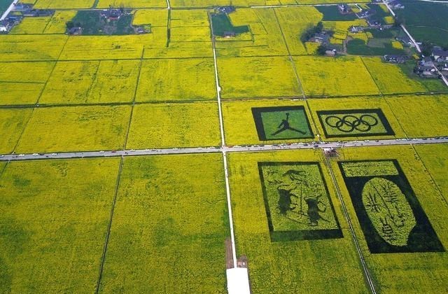 小歪歪说 成都为什么要西控？成都西控的背后藏着一个万亿产业！