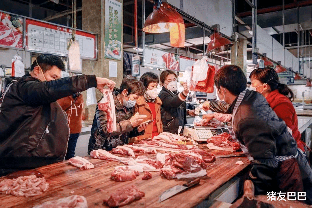 生猪价格 猪价跌惨行情7连跌，五一来袭猪价不涨反跌，咋解释？附28日猪价