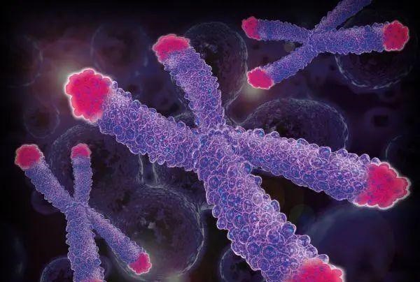 海星 如果你是个可以“永生”的人，怎样才能做到不暴力自己真实身份？