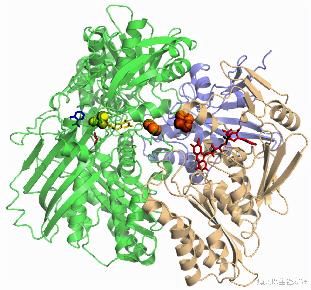 高血脂|它的出现是痛风的最佳治疗时期，总有患者问我，什么时候治最好