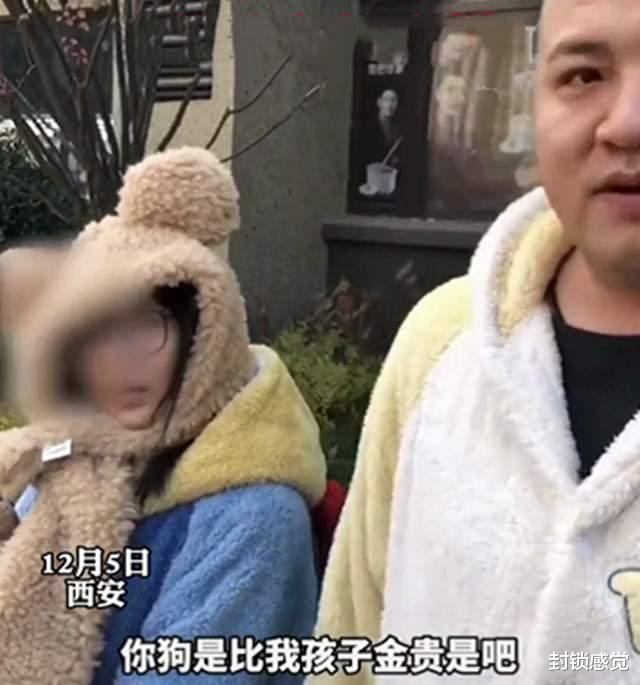 西安夫妻遛狗不拴绳扑咬孩子,家长踹狗遭辱骂,法律如何惩戒他们