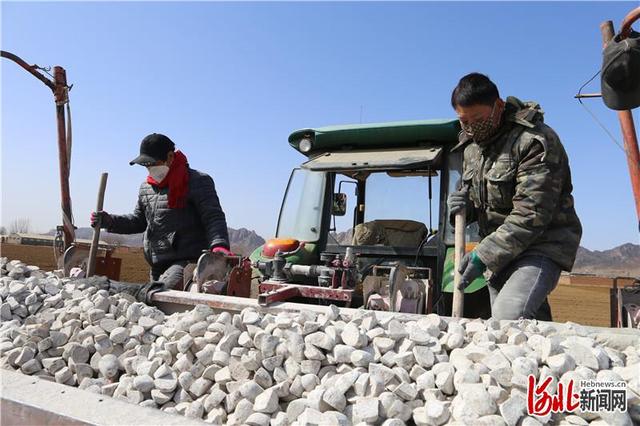 河北新闻网 现场｜河北秦皇岛市抚宁区：小土豆成致富“金豆”