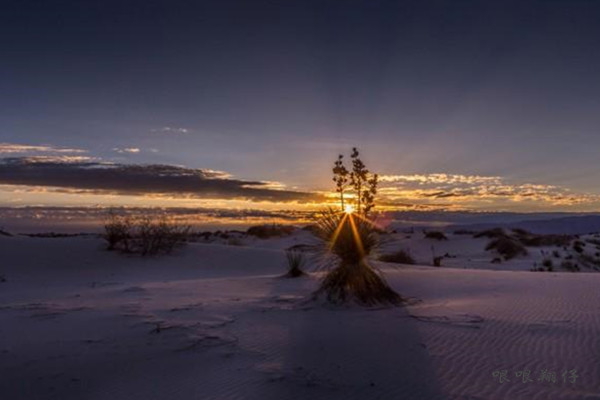 哏哏翔仔|7月初开始，3生肖必得贵人青睐，咸鱼翻身，财运难挡，事业成功，家庭和睦！