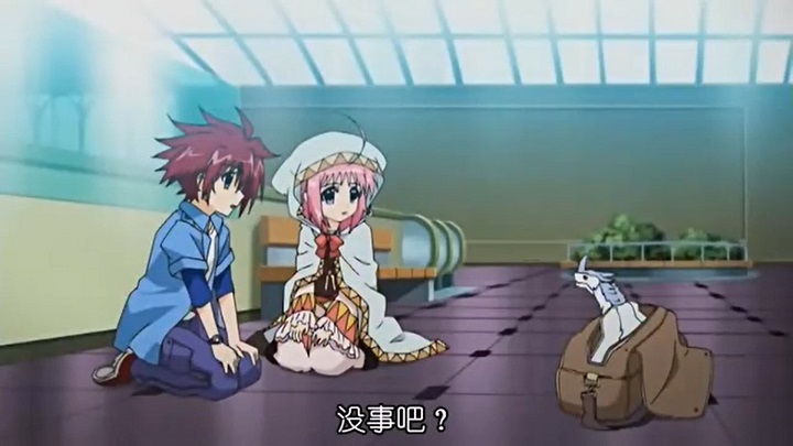 魔法少女奈叶|《魔法少女奈叶》中的八神疾风，为什么要从政？真正的含义是什么