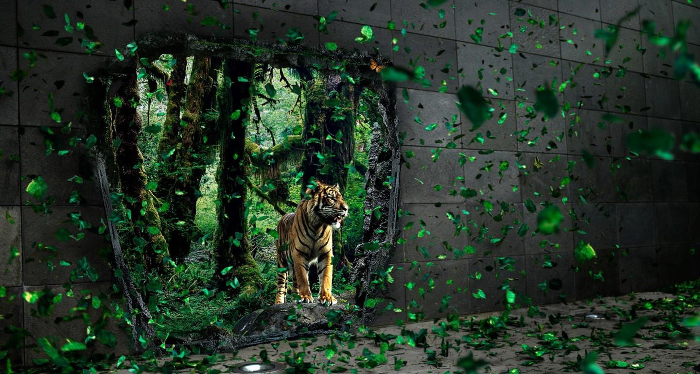 老虎 说好的保护色，为何老虎的毛发颜色如此显眼？