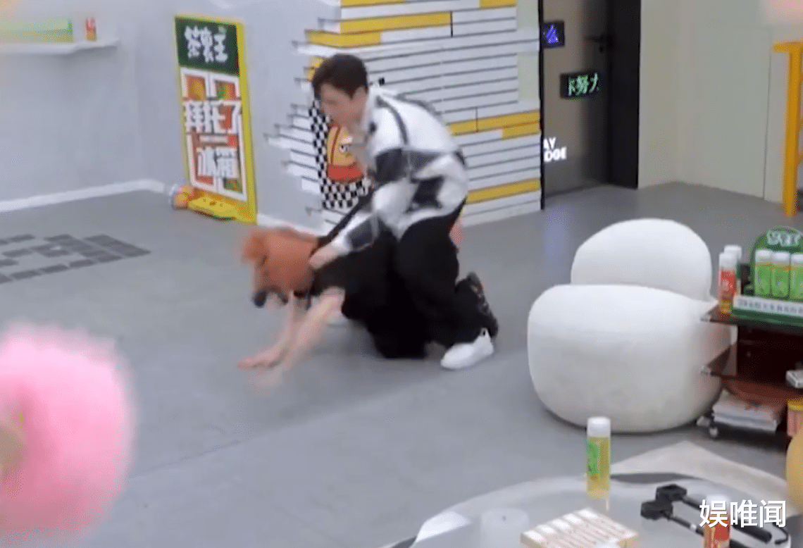 虞书欣|虞书欣做客《拜托了冰箱7》，她爱“作”的真面目，终于被揭开了