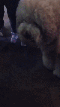 每天都是潮人|来东北开演唱会，不得不穿上最厚的棉袄