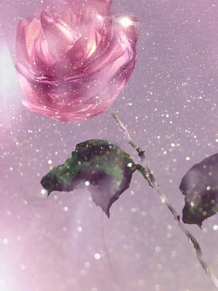 月亮 一些温柔到让你惊叹的神仙句子