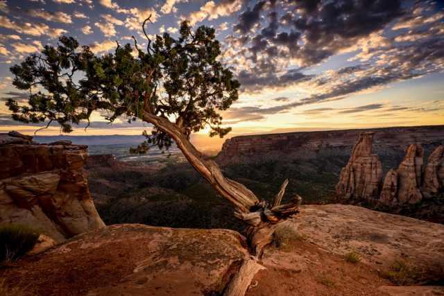 |解读尼康全幅微单：新时代Z卡口的看家本领