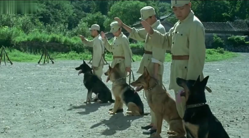 电影|这桩娱乐圈的集体谋杀案,上不了热搜