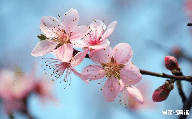 星座档案馆|宝瓶座满月,八月下旬感情或有惊喜的星座,举案齐眉,恩爱如初