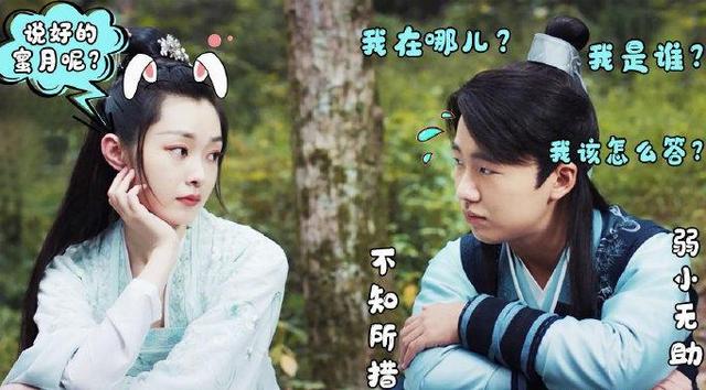 赘婿2|《赘婿2》苏檀儿要换人？当看到导演中意的人后：眼光还不错！