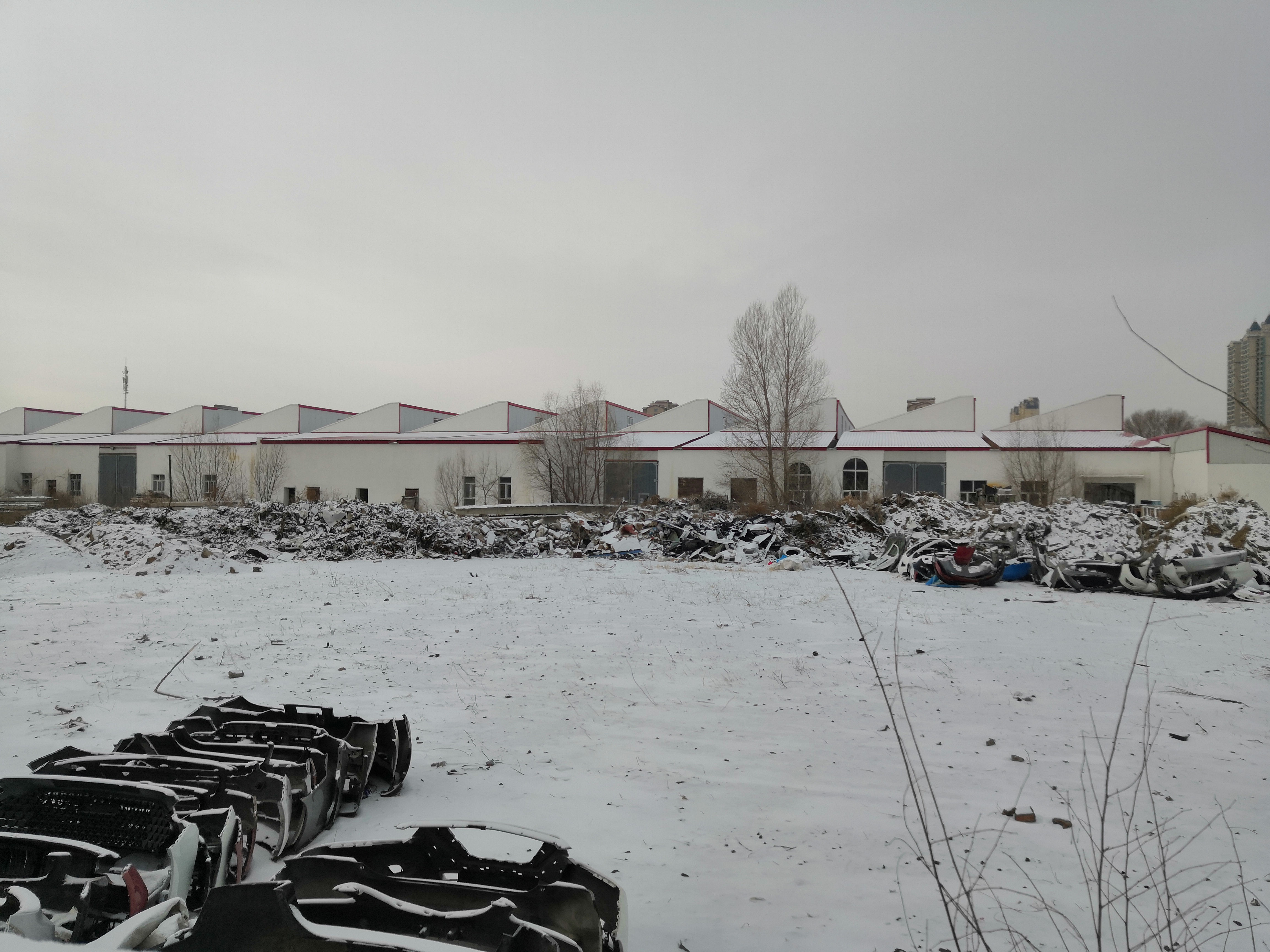 szfreeman 换上雪地胎，驰骋在鹤城的雪地上，第一站是去感受接地气的菜场