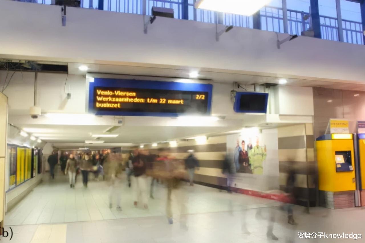 三星堆 科学家是闲的吗?2021年搞笑诺贝尔奖公布,有哪些“奇葩”研究?