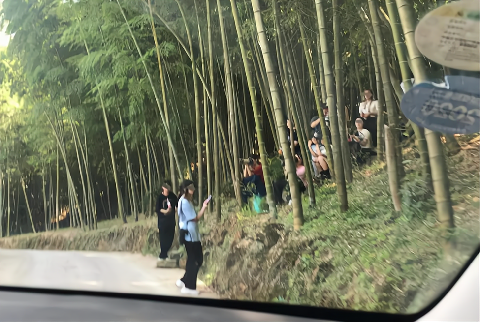 兜妈爱叨叨|00后女孩追星被困荒山，得知结局后网友直呼真香：不值得同情