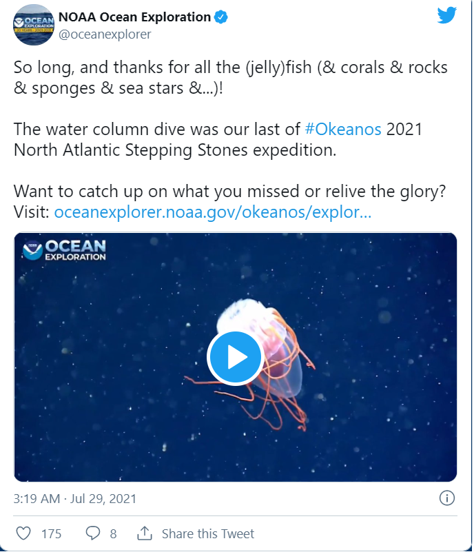 科学家 科学家发现现实世界的海绵宝宝和派大星