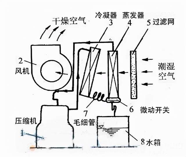 怡然自得210|湿到长蘑菇怎么办？除湿技巧大放送（附松下除湿机实测）