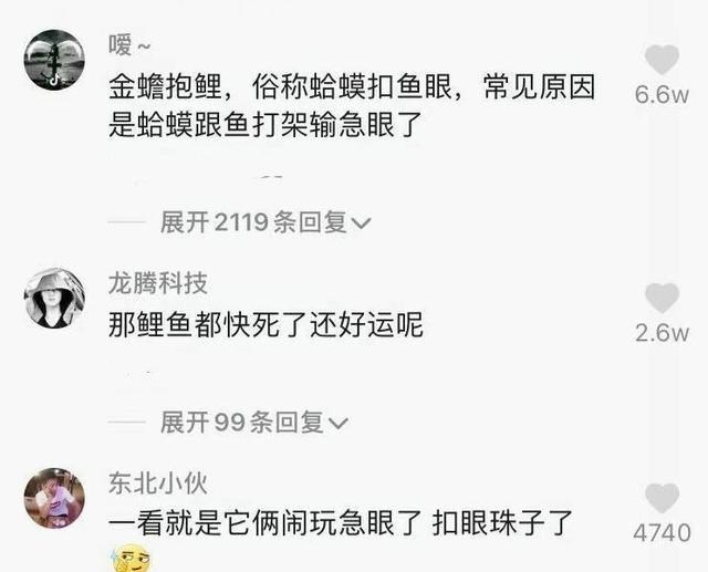 辽宁省|辽宁钓鱼人碰到“金蟾抱鲤”网络热议，预示好运？其实是自然现象