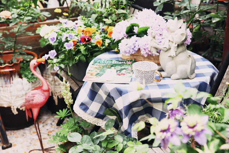 古镇 我的54㎡露台花园,一个可在花丛中漫步的地方,舒适宜人美不胜收