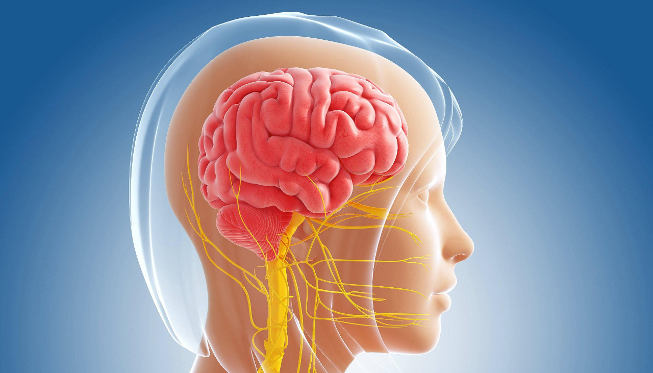 脑中风|脑中风来临前或会有“小中风”，一旦发现，要及时就医检查