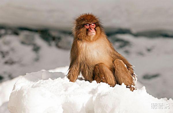 晴晴说|属猴人,对待工作一直都是激情满满,很喜欢自己的工作!