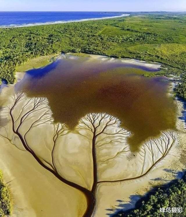 街舞|33张活久未见的照片，瓢虫喝醉后“耍酒疯”，这是在跳街舞吗