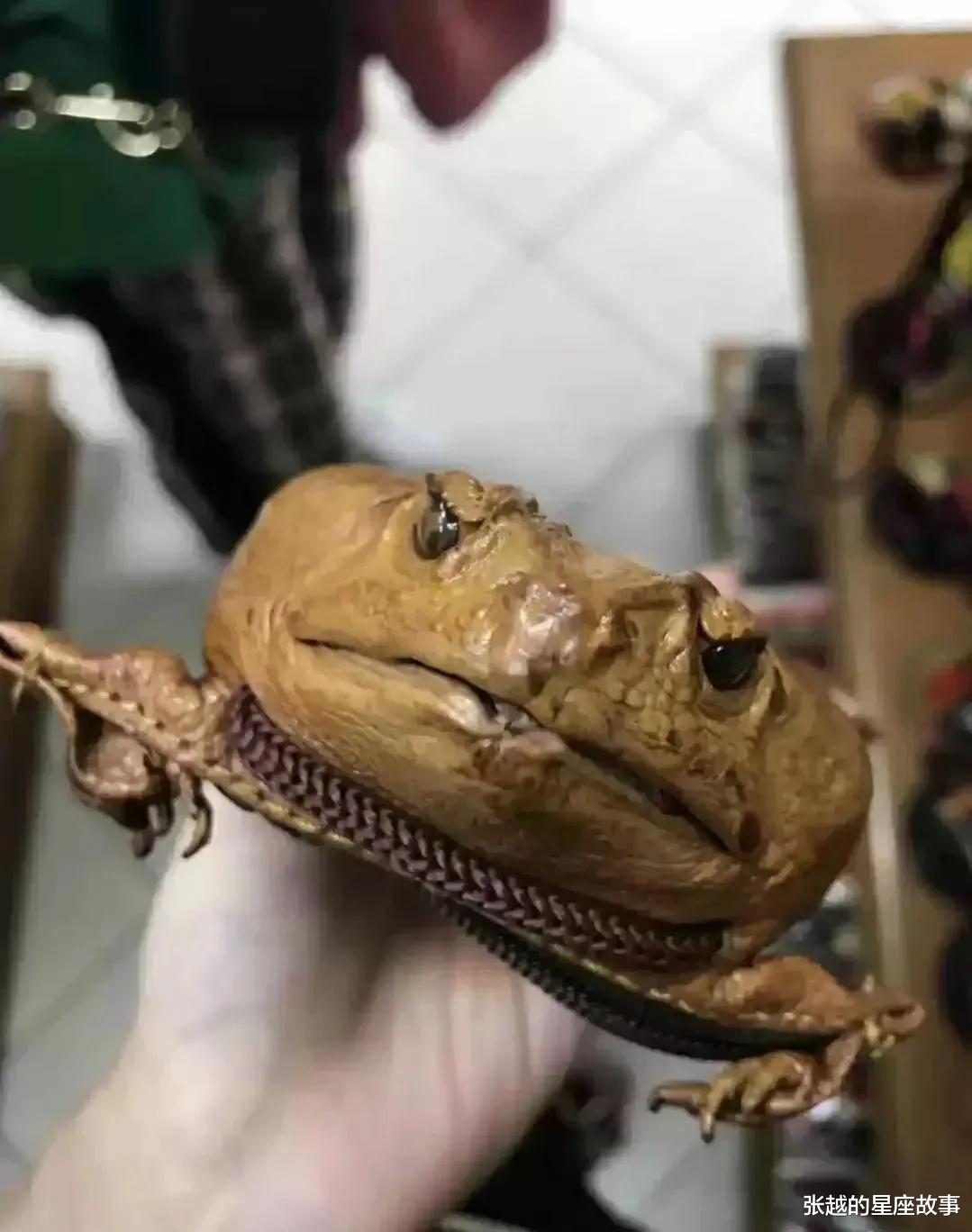 张越的星座故事|“挤地铁到底能刺激到什么程度？”哈哈哈哈网友的描述真是让我大开眼界！