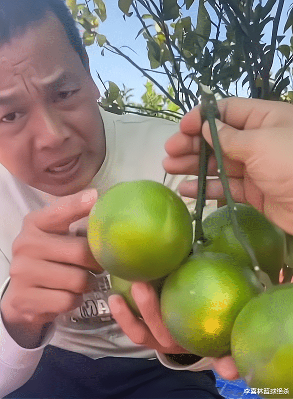 感动!全红婵父亲仍自食其力卖橙子:拒绝商铺豪宅不消费女儿荣誉
