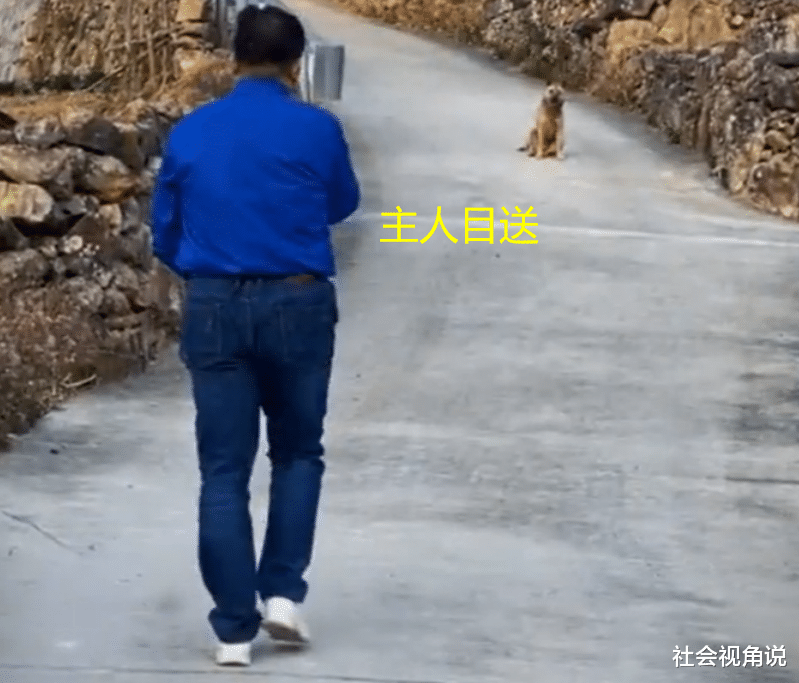 社会视角说 福建一16岁土狗大限将至,与主人诀别三步一回头,引人落泪