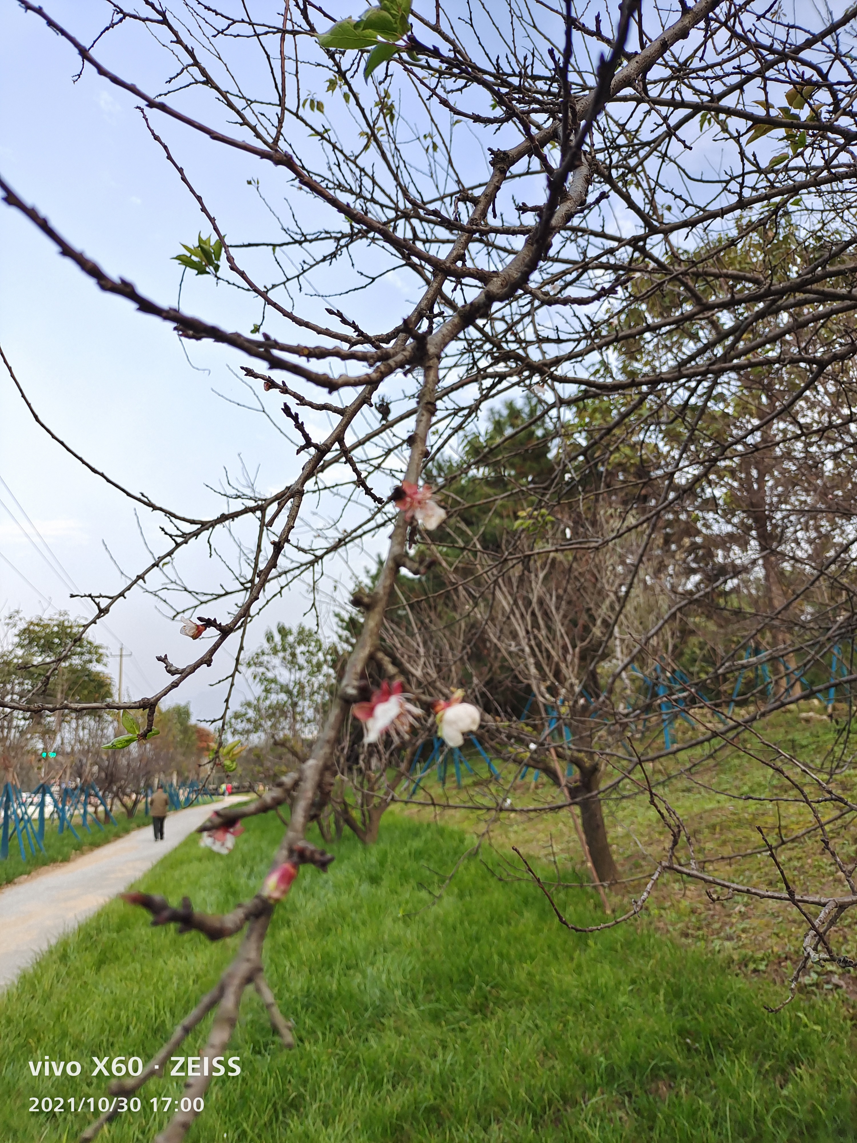 爱我们的生活 时光流泻,无意秋浓