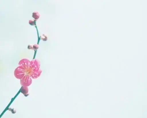 情感语录生活感悟|余生最好的活法，就是不辜负自己