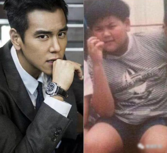 张新成|有种“整容”叫《巴啦啦小魔仙》石小龙，如今瘦下来，网友：男神