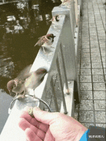 铭洋说育儿|神回复：说出你们听过最奇葩的分手理由，妹子这个够奇葩